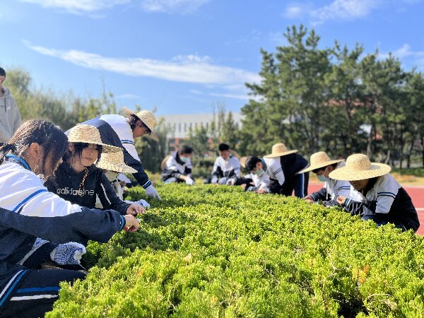 园艺技术（春季高考）