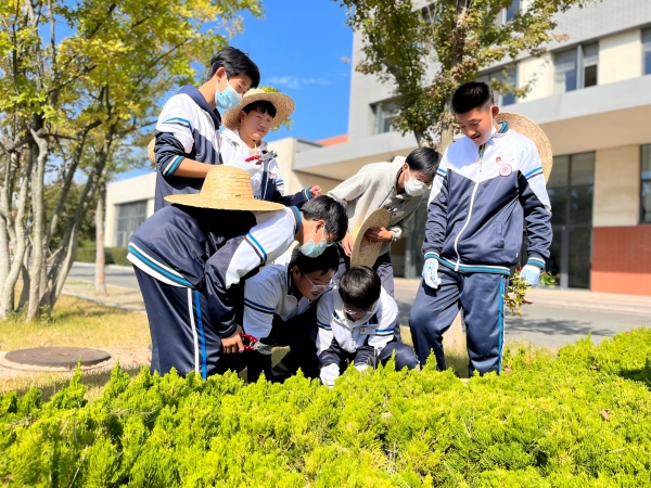园艺技术